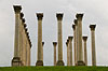 Columnas (301) 