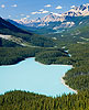 Peyto Lake (181) Banff NP, Canada