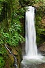 Magia Blanca Waterfall, Alajuela, Costa Rica (138) 