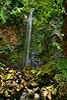 Vista del Valle Waterfall, Costa Rica (299) 