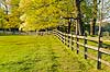 Spring Pasture and Fence 1 