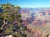 Grand Canyon 1-12 
