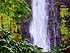 Majestic Tropical Falls HI0318 