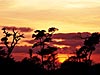 Monteverde Sunset, Costa Rica 