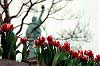 Primavera en la Estatua de la Libertad, NY 