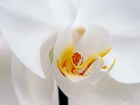 Chittenango Falls SP